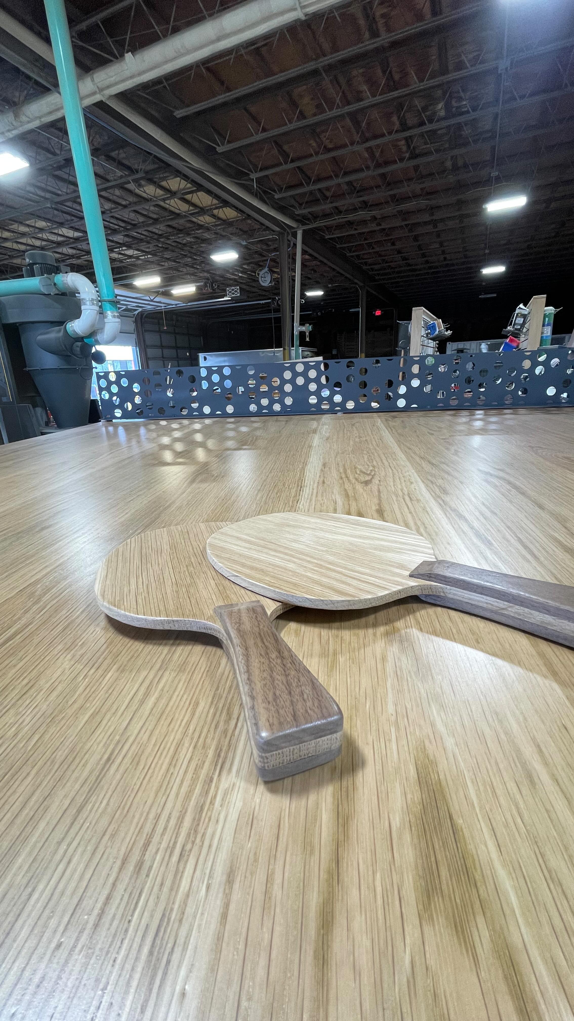 Ping Pong Table